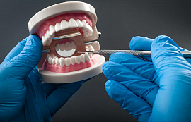 wicker park dentist